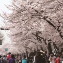 펀앤해피펜션 이미지