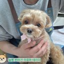 늘봄아로마테라피 이미지
