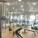 와라카이 - 3511 | 와라카이
