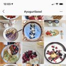 요거트볼YogurtBowl 이미지