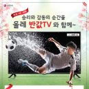 올레반값행사안내(인터넷 과 TV 신청하고 반값 TV&PC&노트북 구매:14년4월17일부터6월30일) 이미지