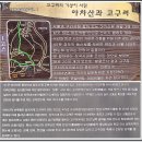 화양정 이미지