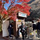 버스정류장(용산역1번출구) | [정읍/단풍구경] 🍁내장산 당일치기 단풍구경 가는법 가는길 꿀팁!🍂