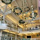 신정여자중학교 | [울산 삼산 카페] 하얀 커튼과 초록 식물 감성 가득한 대형카페_내돈내산 (휴아트삼산)