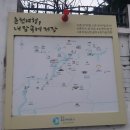 개나리마을 | [여행] 낭만이 가득 담긴 골목 - 춘천 낭만골목(효자마을, 효자동 벽화마을, 개나리골목)