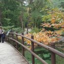 (주)충인 이미지