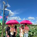 창녕군립수영장 | 함안 가족여행 입곡군립공원 아라힐링바이크 무빙보트