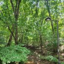 정발산공원 이미지