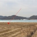 대산면909 이미지