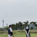 사하스크린 골프 이미지