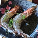 김태완 스시 이미지