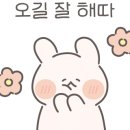구룡포해풍국수 이미지
