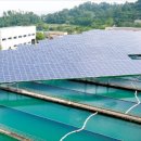 아리 태양광발전소 이미지