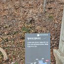 선암 | 울산에서 가볍게 걷기 좋은 곳, 선암호수공원 산책로 후기