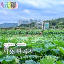 연꽃테마파크 | 시흥 관곡지 연꽃테마파크 경기도 연꽃 명소 추천