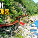 제180차 인제 내린천 고사리쉼터 둘레길(10km)박달고치 전망대. 이미지