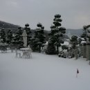 해를품은바다 이미지