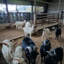 평범한 날이 가장 행복한날 이미지