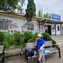 대광리 은행나무 이미지