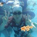 젠틀한 세탁 | the sweetest escape