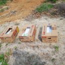 대한부동산 이미지