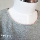 센스라인