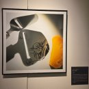 209 | MUSEUM 209 빈센트 발 : SHADOWGRAM 쉐도우그램 전시 후기