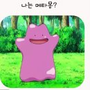 (찾아가는) 마음으로 읽는 세상 | Why를 찾아가는 모멘토스 새해 첫 모임 후기