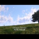 KINGDOM PC 이미지