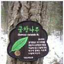 상수리주유소 네이버블로그