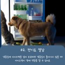 맘스아이스