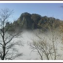 새마음의원 이미지