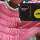 두유 개린이집 | 대형견 강아지 넥카라 두유레디 (수술 후 필수 용품)