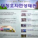 화포천습지생태 박물관2층 공중화장실 | 대전시티투어 새단장 왔슈 타유 생태 과학 힐링 감성 체험 이젠 대전여행 골라 보슈 위풍당당진국 타봤슈