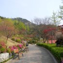 뻥튀기공원 이미지