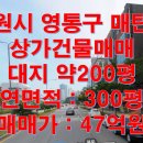 수원시 영통구 이미지