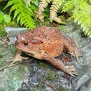 두꺼비하우스 이미지