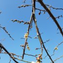 복상농장 이미지