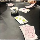 애견취향 이미지