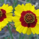 서구노인복지관(2) 이미지