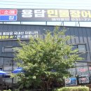 형제민물장어 이미지