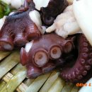 Flametree_ 이미지