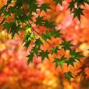 바람아래 이미지