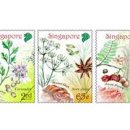 강변푸드 이미지