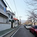 중원로 네이버블로그