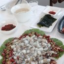 낙지박사 이미지