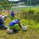 외간체육공원 이미지