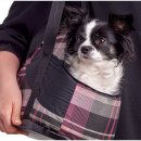 퍼스트 동물메디컬 센터 이미지