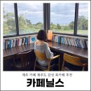 카페닐스 | 제주 카페 제주도 감성 북카페 추천 카페닐스