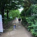 GR(양평군)-[양근로]-상-8 | 양평 당일치기 여행 :: 이렇게만 따라 오세요 (feat.랜선투어)